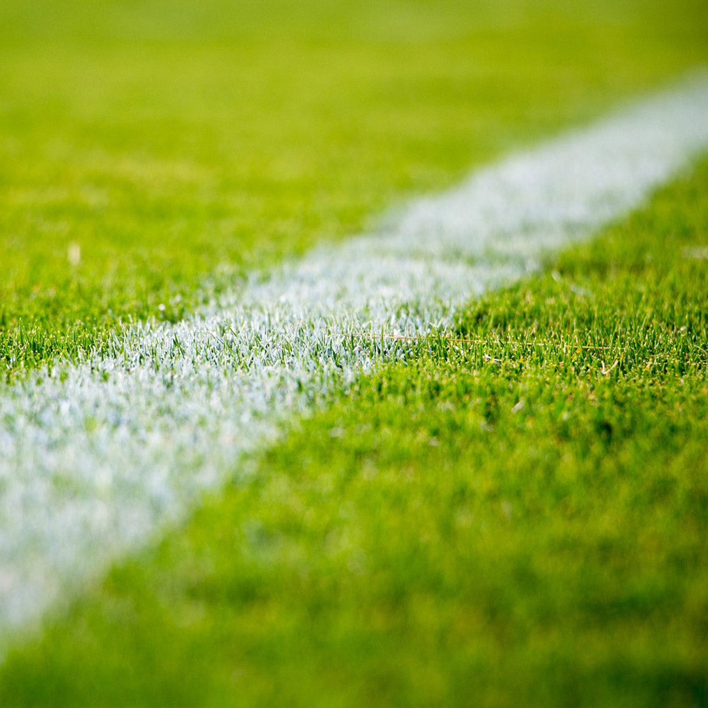 Artificial Gym Grass